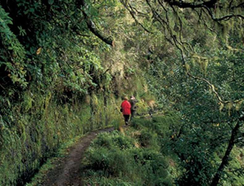 Dorisol Pousada Dos Vinhaticos Serra de Água Exteriör bild